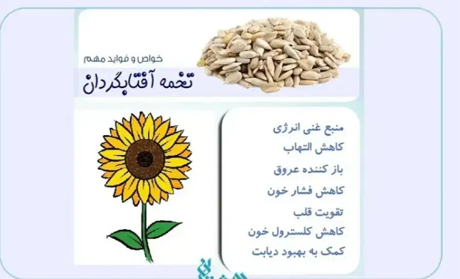 شور کاری (کیلویی ۱۳هزار تومان ) انجام می‌شود|خوردنی و آشامیدنی|اهواز, حصیرآباد|دیوار