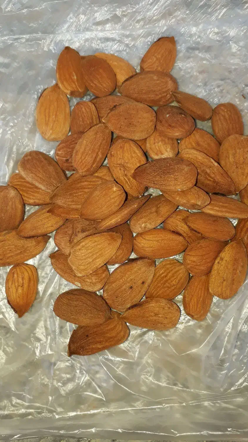 مغز بادام 7و8شاهرودی|خوردنی و آشامیدنی|سده (فارس), |دیوار