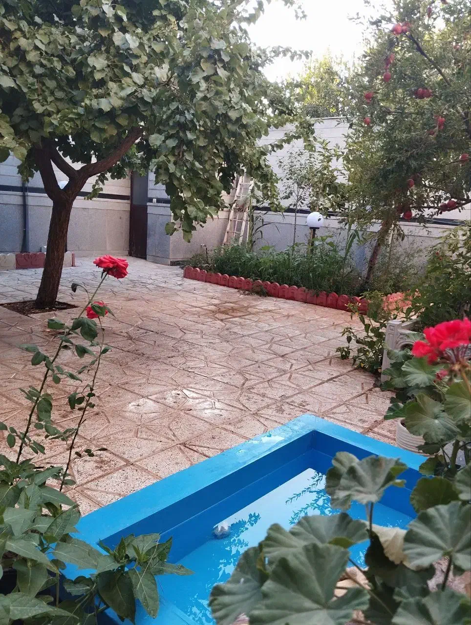 اجاره  سوئیت سوییت پارکینگ دار در شهر درود،دررود|اجارهٔ کوتاه‌مدت آپارتمان و سوئیت|نیشابور, کوی فرهنگیان|دیوار