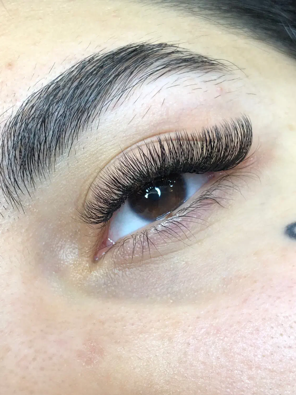 اکستنشن مژه|خدمات آرایشگری و زیبایی|تهران, امیرآباد|دیوار