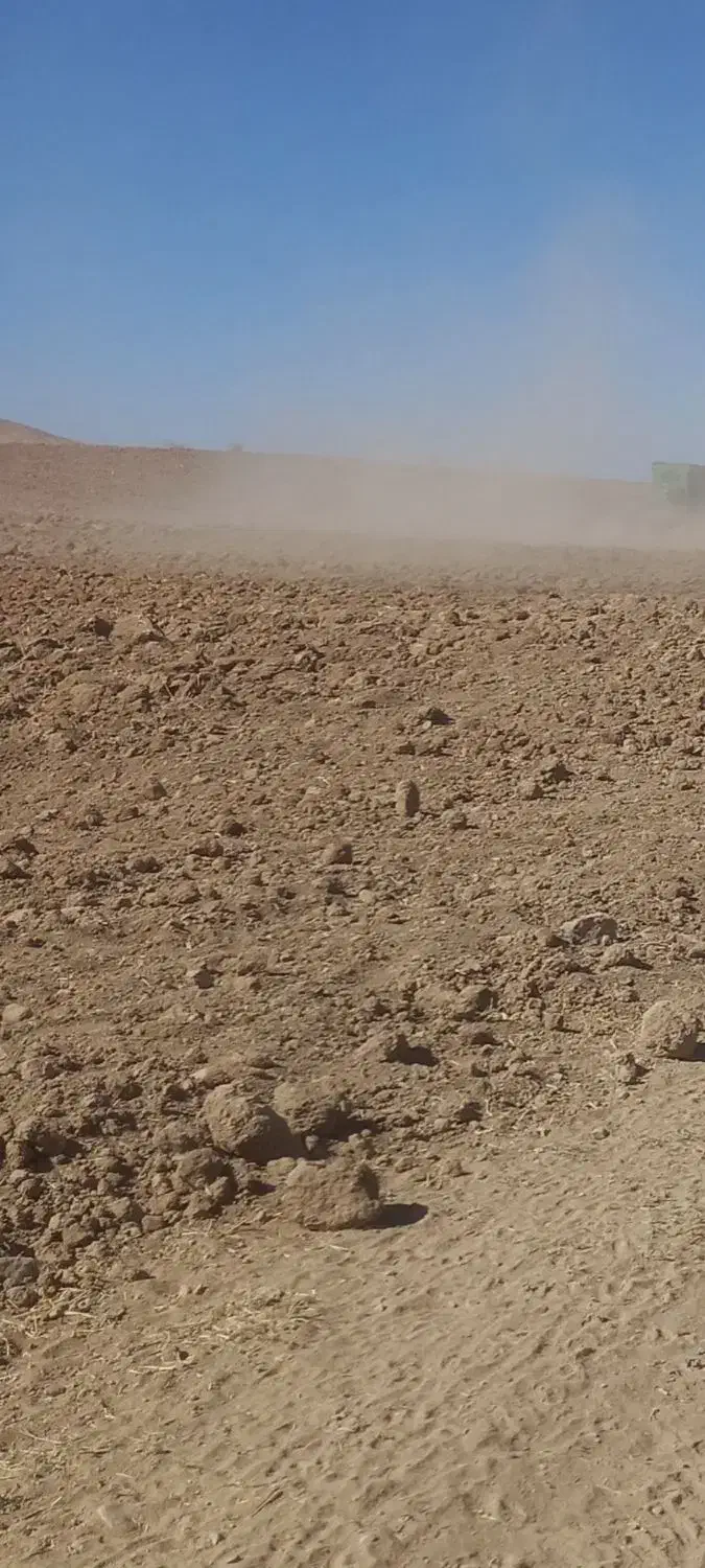 اجاره زمین دیم کشاورزی|اجارهٔ دفتر صنعتی، کشاورزی، تجاری|کلیائی, |دیوار