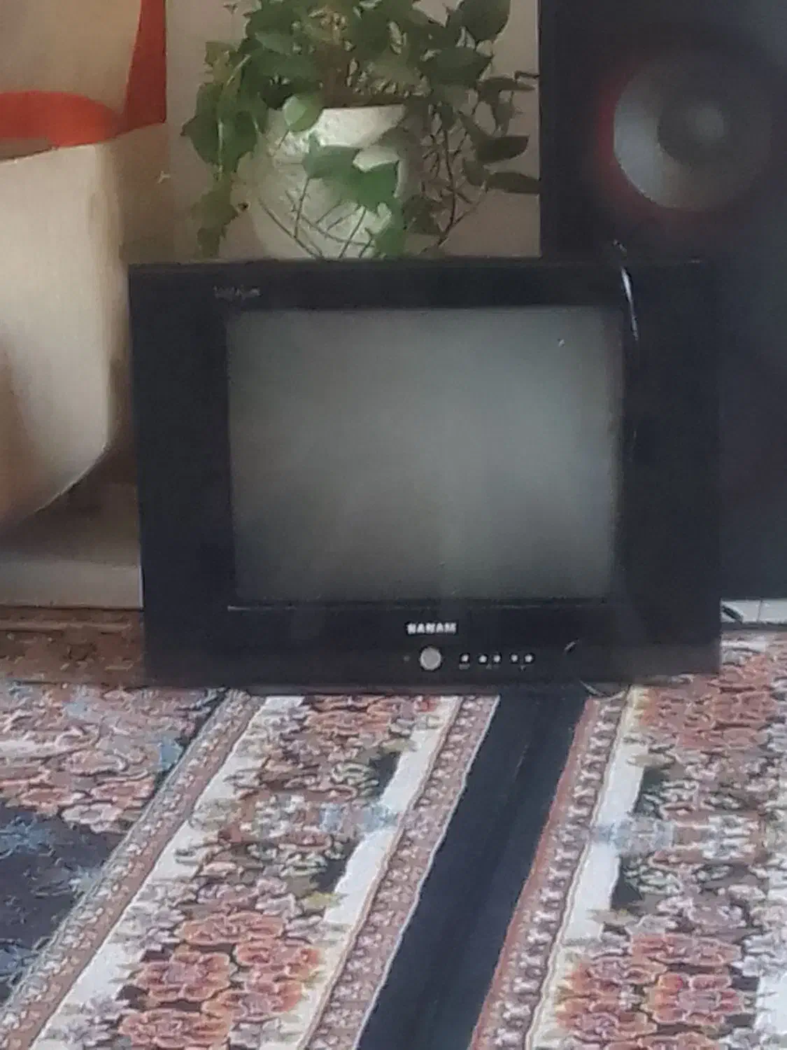 تلوزیون|تلویزیون و پروژکتور|تالش, جوکندان|دیوار