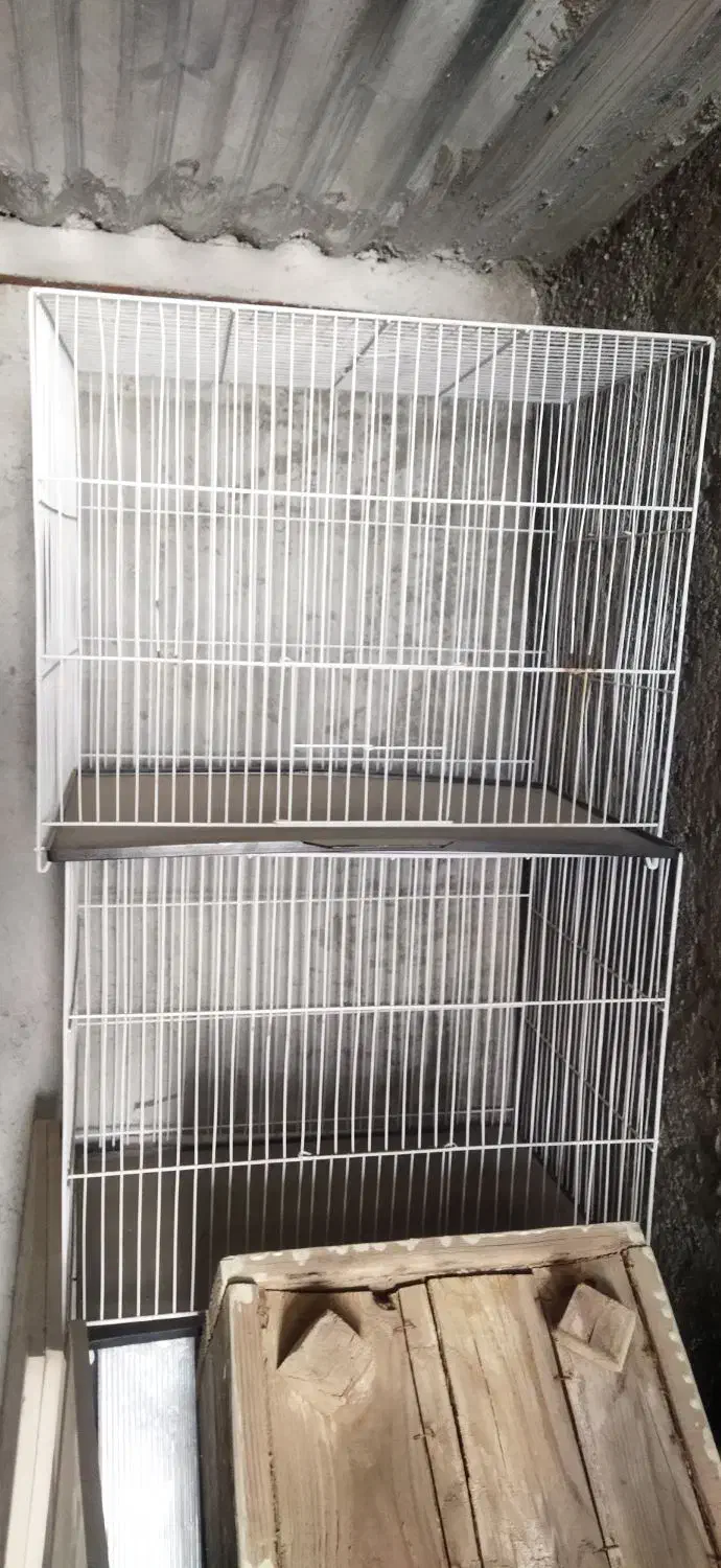 ماشین شارژی|اسباببازی|خواف, |دیوار