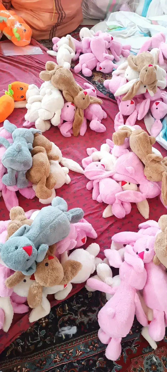 استخدام نیروی خانم شیفت صبح|استخدام صنعتی، فنی، مهندسی|تربتحیدریه, شهرک ولیعصر|دیوار