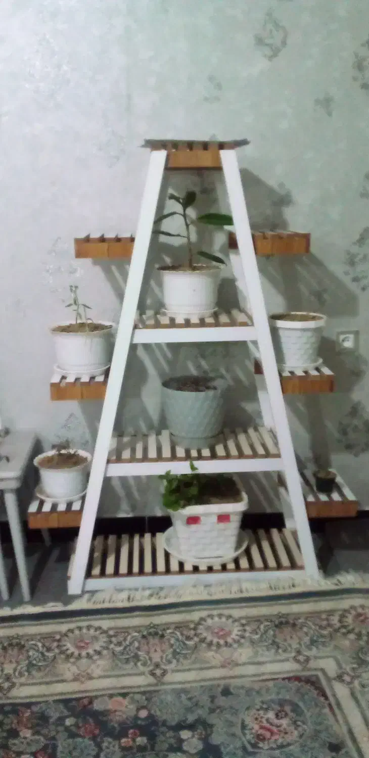 استند گل چوبی|گل و گیاه طبیعی|بوکان, |دیوار