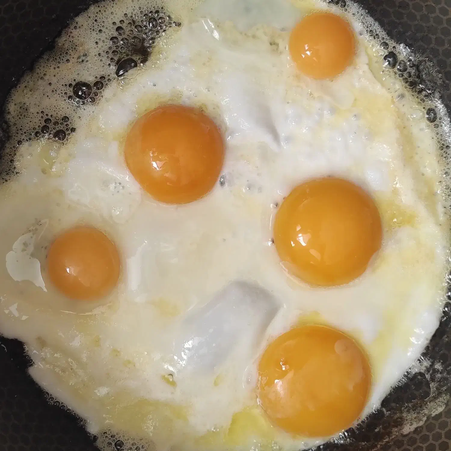 تخم بلدرچین خوراکی ارگانیک|خوردنی و آشامیدنی|خوانسار, |دیوار