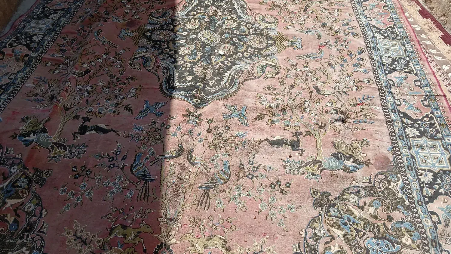 ۳ عدد قالی ۳/۴|فرش|لردگان, |دیوار