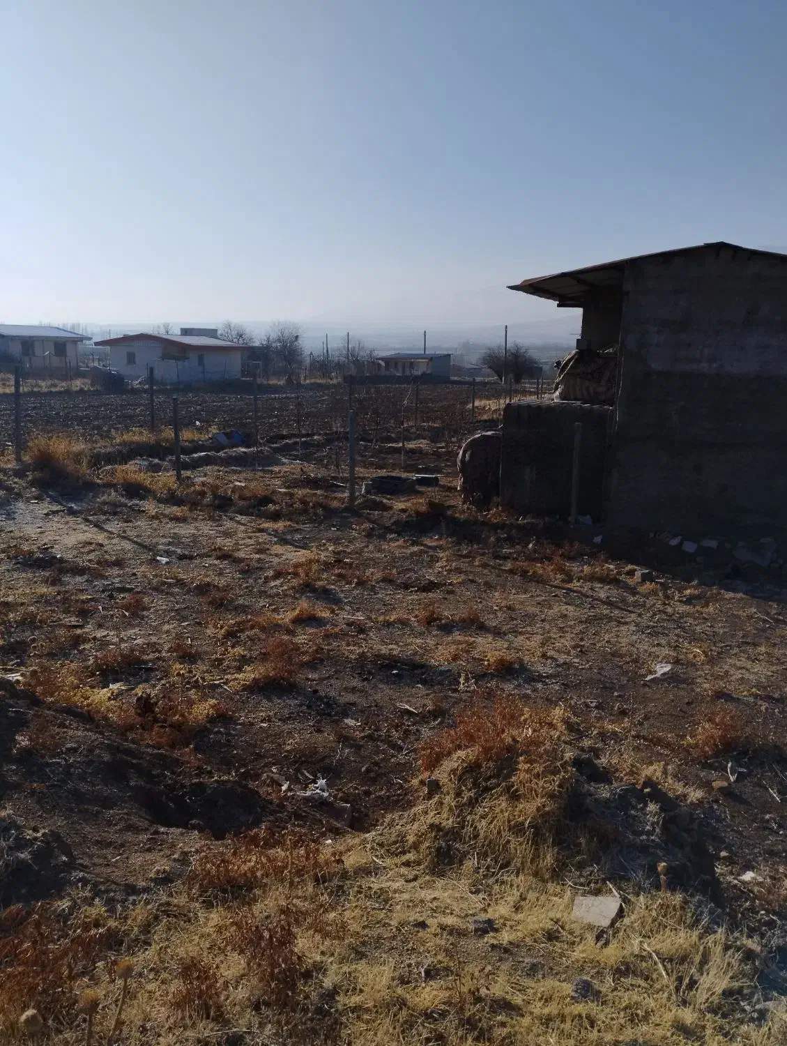 زمین ویلایی بندیزه تک درخت|فروش خانه و ویلا|اشترینان, |دیوار