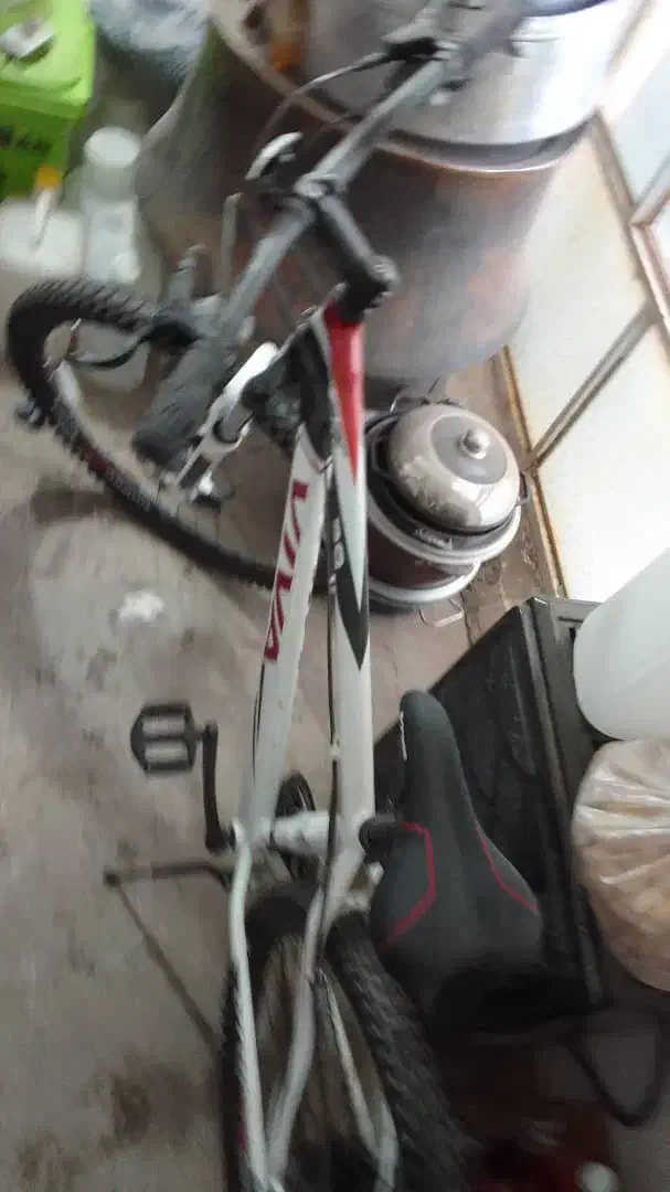 دوچرخه ویوا سایز 29|دوچرخه، اسکیت، اسکوتر|یزد, |دیوار