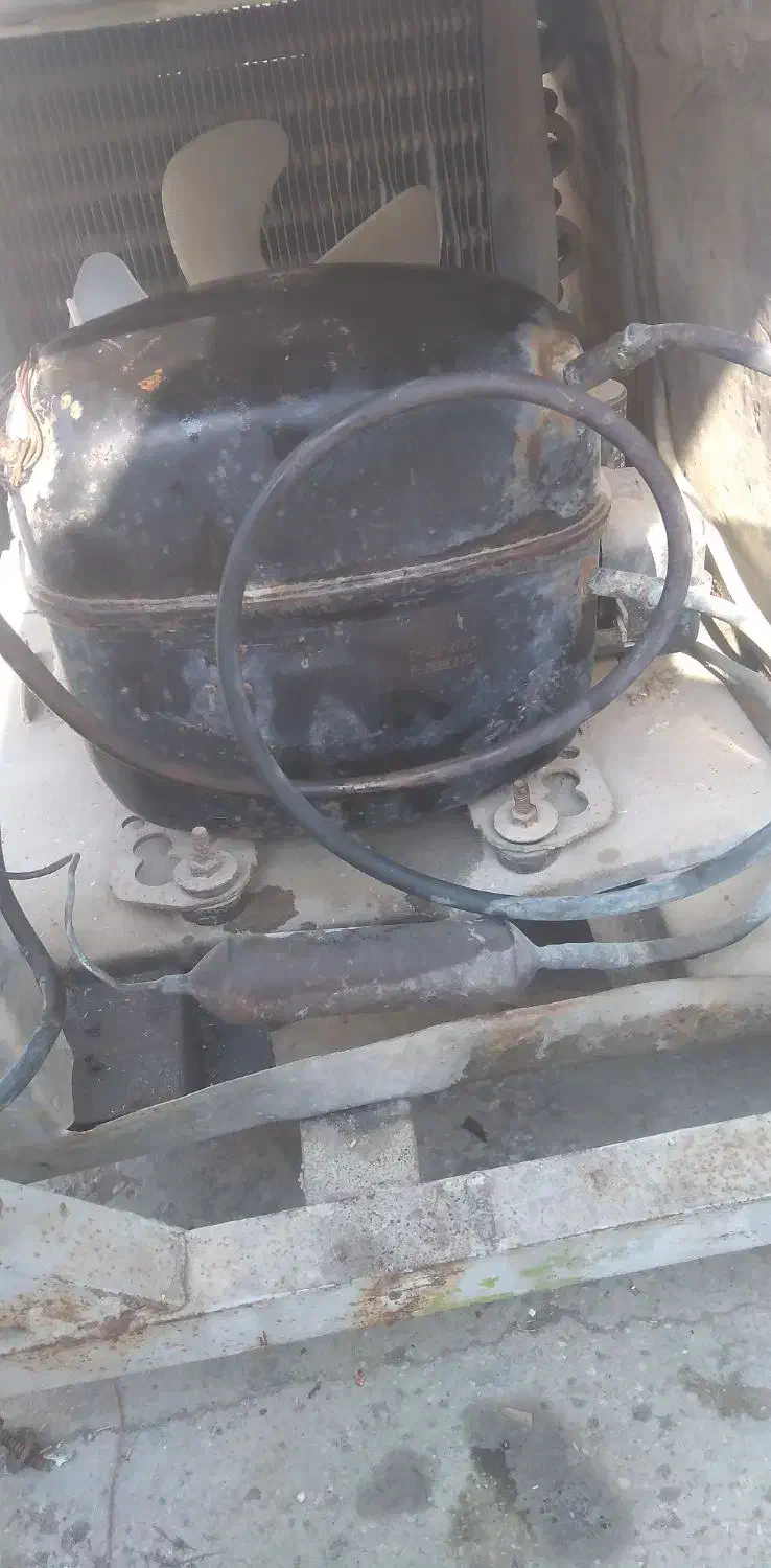 موتور فریزر صندوقی به شرط|یخچال و فریزر|چغادک, |دیوار