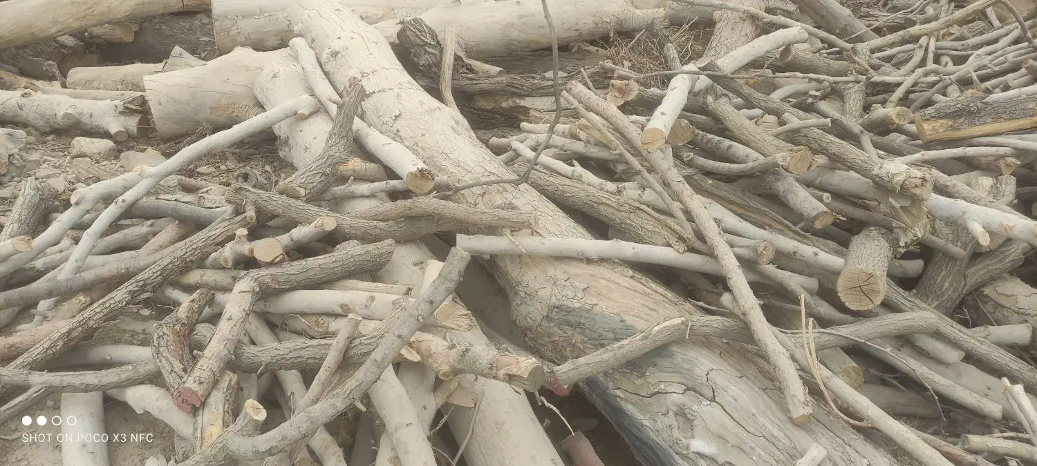 فروش چوب|خدمات باغبانی و درختکاری|شاهینشهر, خبرنگار|دیوار