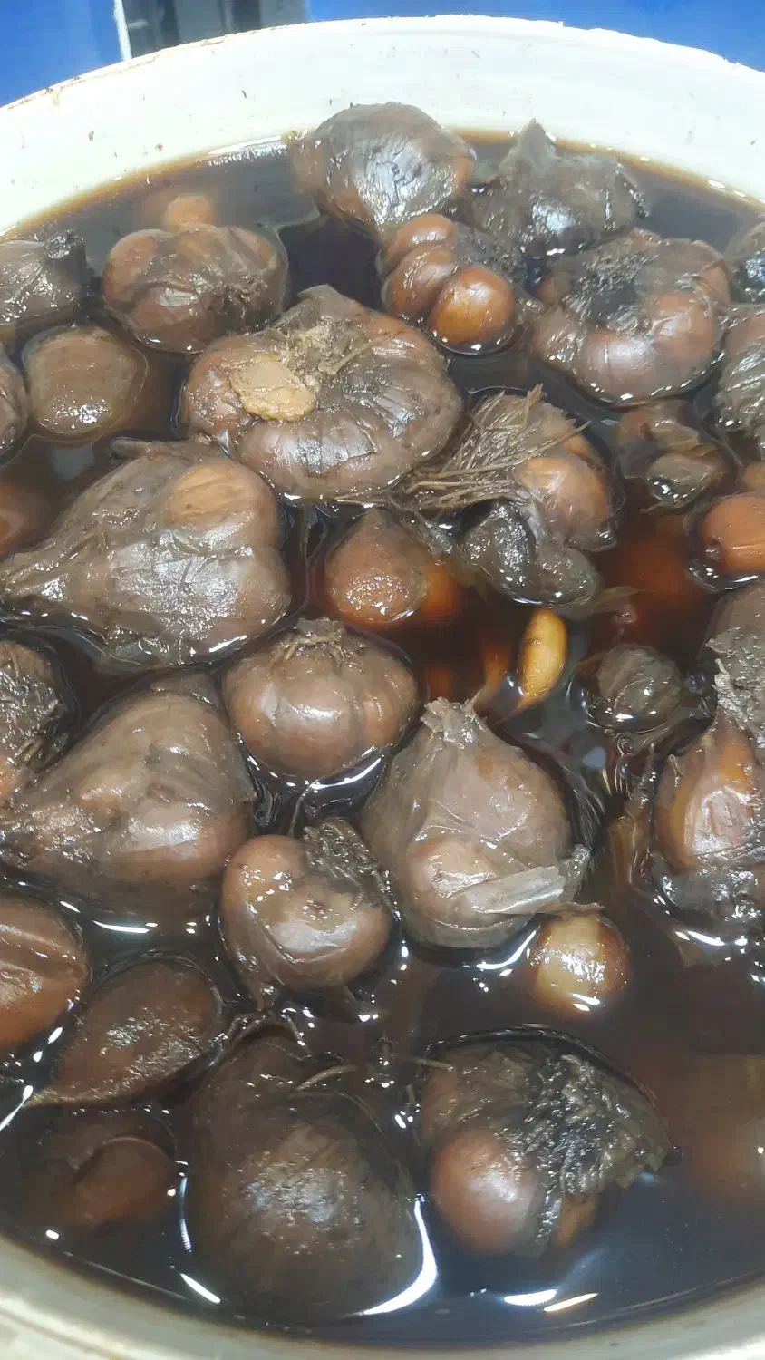 سیر ترشی 5ساله|خوردنی و آشامیدنی|قم, هفت تیر|دیوار