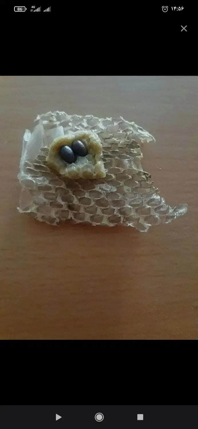 مهره اصل اصل  گارانتی۲۴ساعت|بدلیجات|بوکان, |دیوار