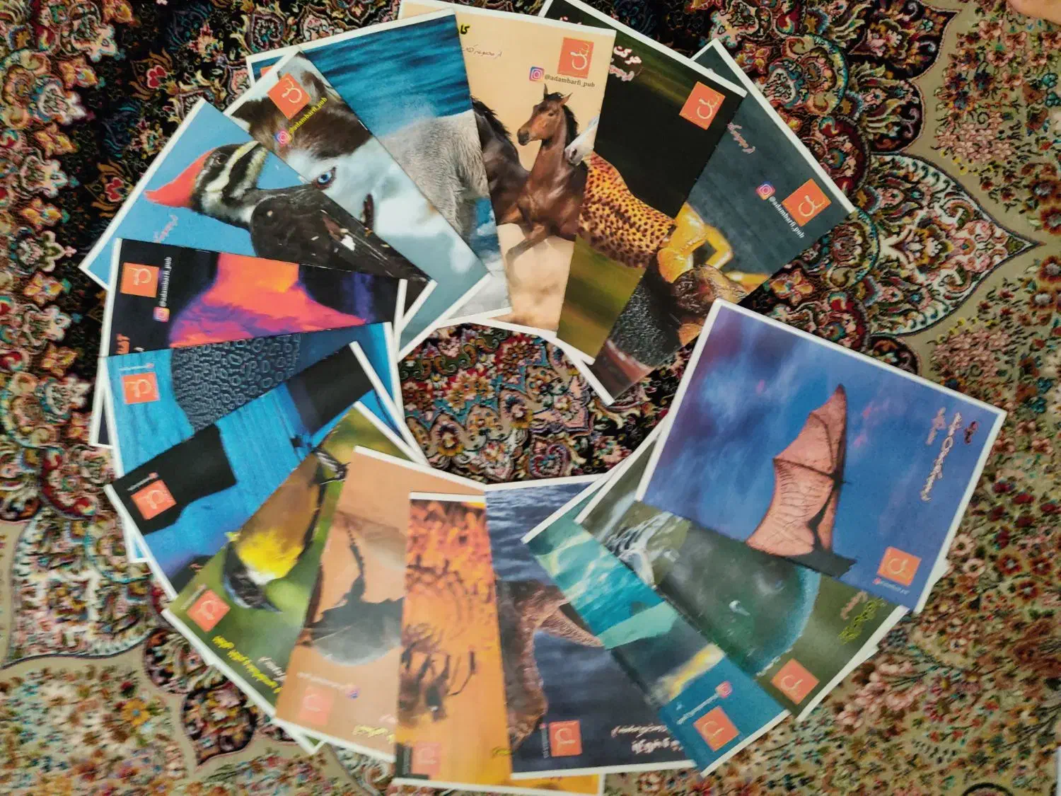 کتاب های کنکور 1401|کتاب و مجله آموزشی|سنندج, |دیوار