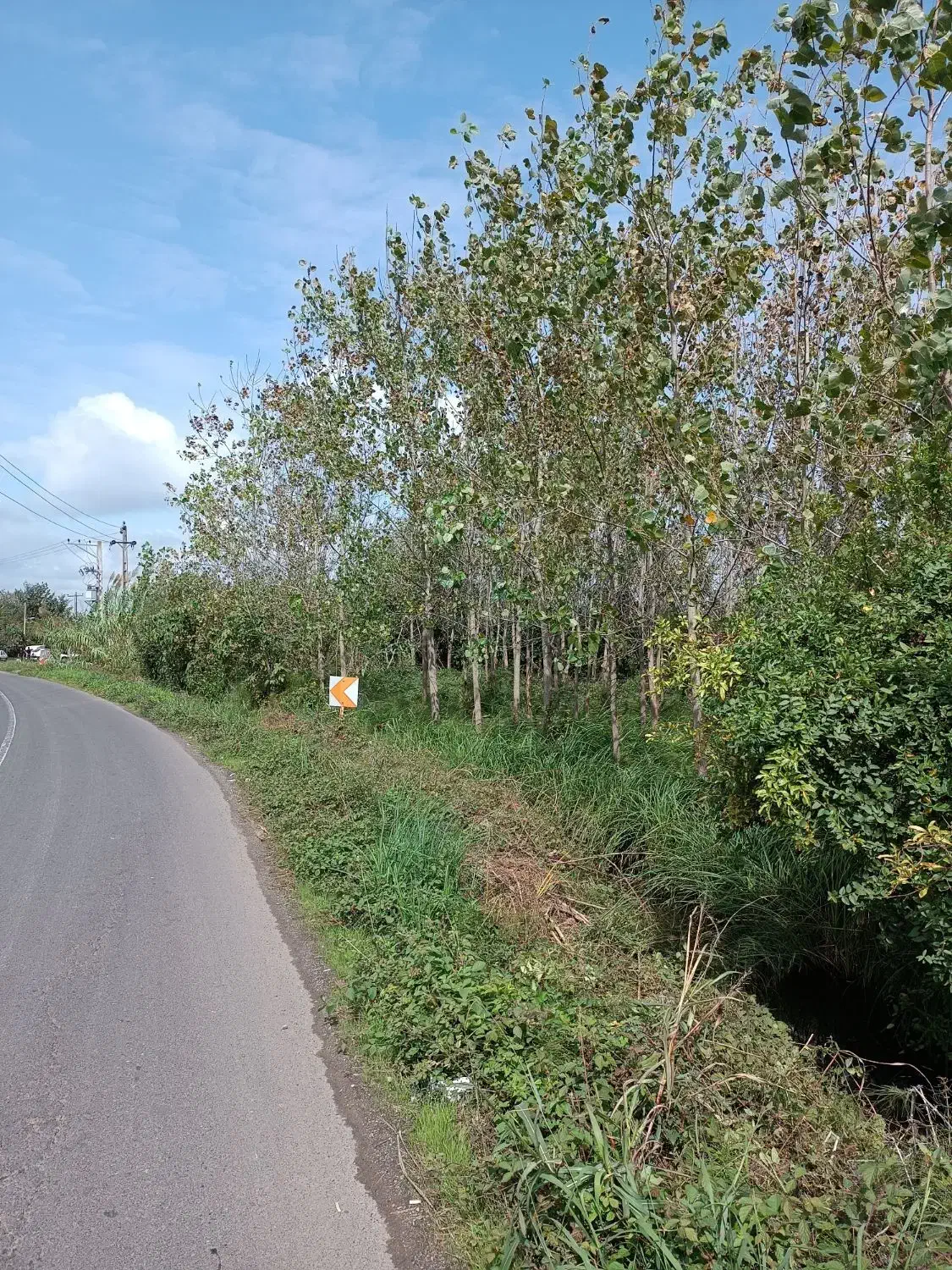 زمین روستایی 300 متری نبش آسفالت قابلیت ساخت|فروش زمین و ملک کلنگی|لنگرود, |دیوار