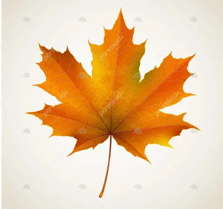 برگ کیلویی هزار تمیز تناژ بالا فروشنده تماس|خدمات باغبانی و درختکاری|رزن, |دیوار