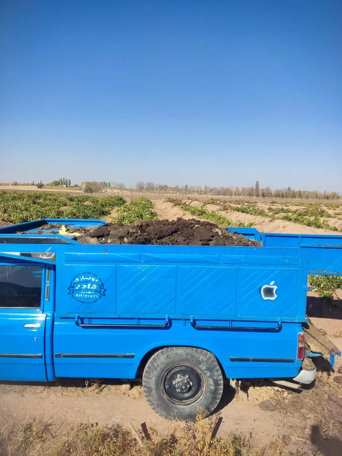 کود گوسفندی درجه یک پول دو گونی کود|خدمات باغبانی و درختکاری|باروق, |دیوار