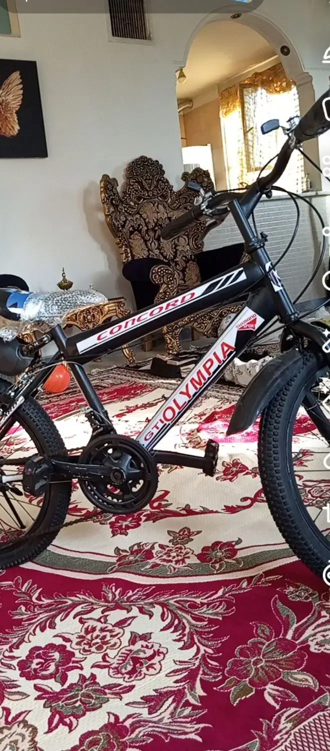دوچرخه سایز بیست کاملا نودنده ای|دوچرخه، اسکیت، اسکوتر|قرچک, شهرک طلائیه|دیوار