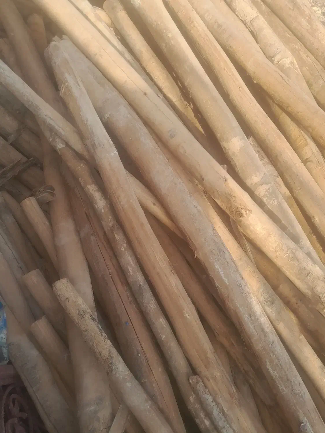 دار کبوده وتخته|مصالح و تجهیزات ساختمان|لردگان, |دیوار