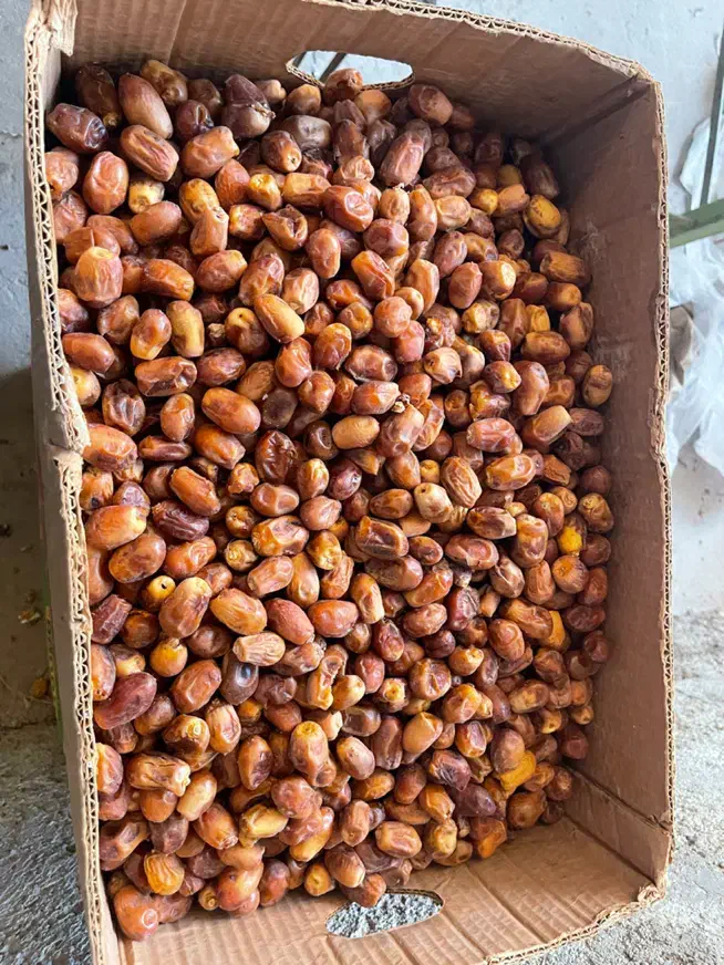 قصب|عمده‌فروشی|وحدتیه, |دیوار