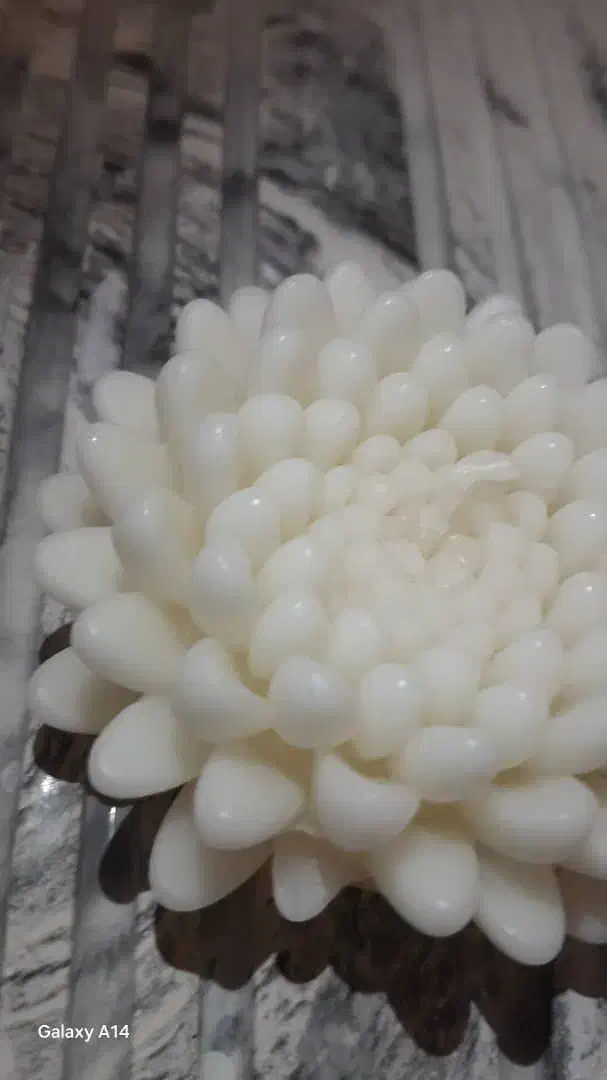 شمع داودی|صنایع دستی و سایر لوازم تزئینی|تهران, مجیدیه|دیوار