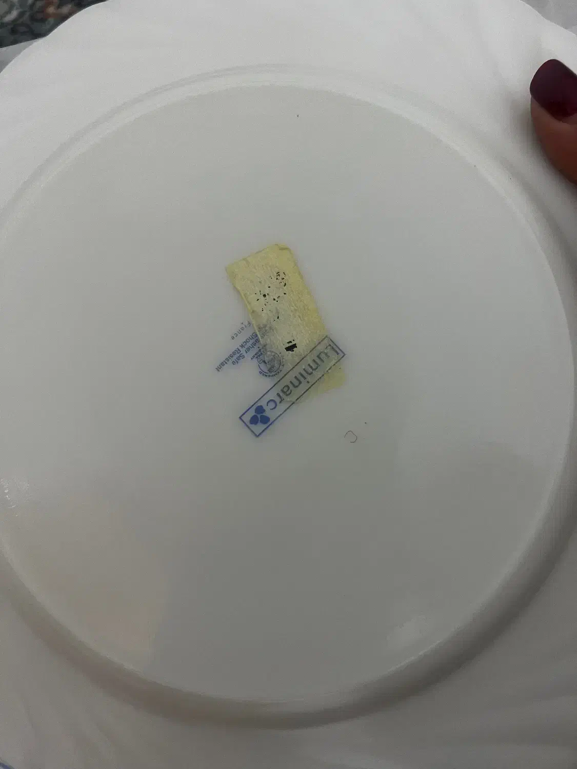 ارکوپال|ظروف سرو و پذیرایی|شیراز, احمدآباد|دیوار