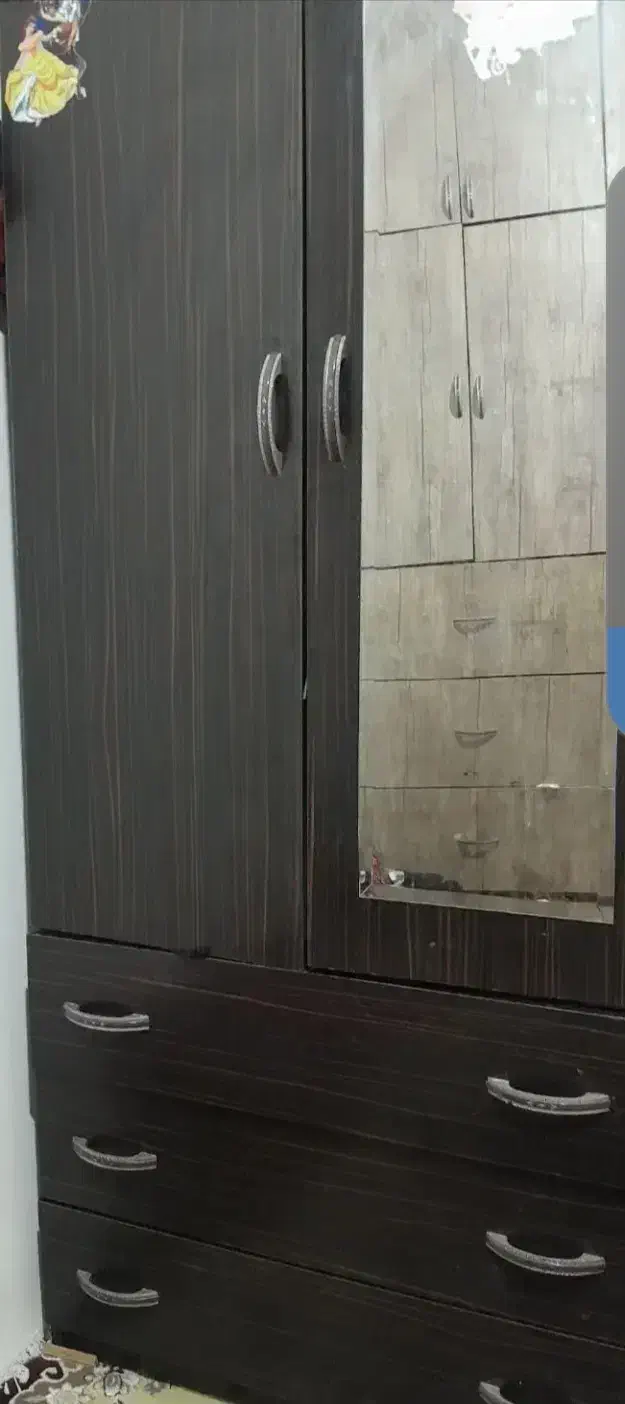 قالی،پایه گل،کمدلباس|فرش|مشهد, کوی سیدی|دیوار