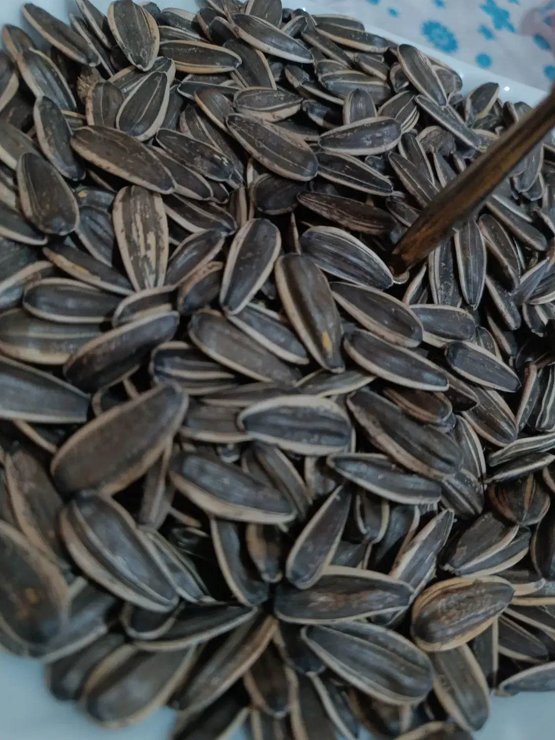 تخمه ارگانیک|خوردنی و آشامیدنی|دهگلان, |دیوار