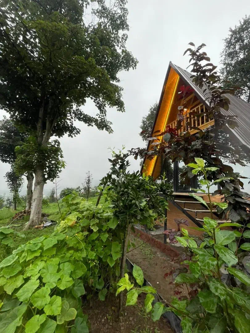 کلبه سوئیسی جنگلی|اجارهٔ کوتاه‌مدت ویلا و باغ|شیرگاه, |دیوار