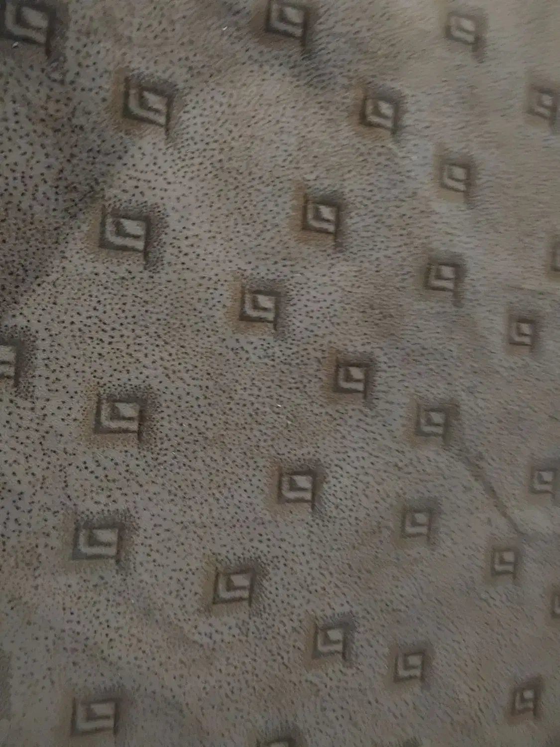 موکت۱۵متری|موکت|اهواز, سیصد دستگاه|دیوار