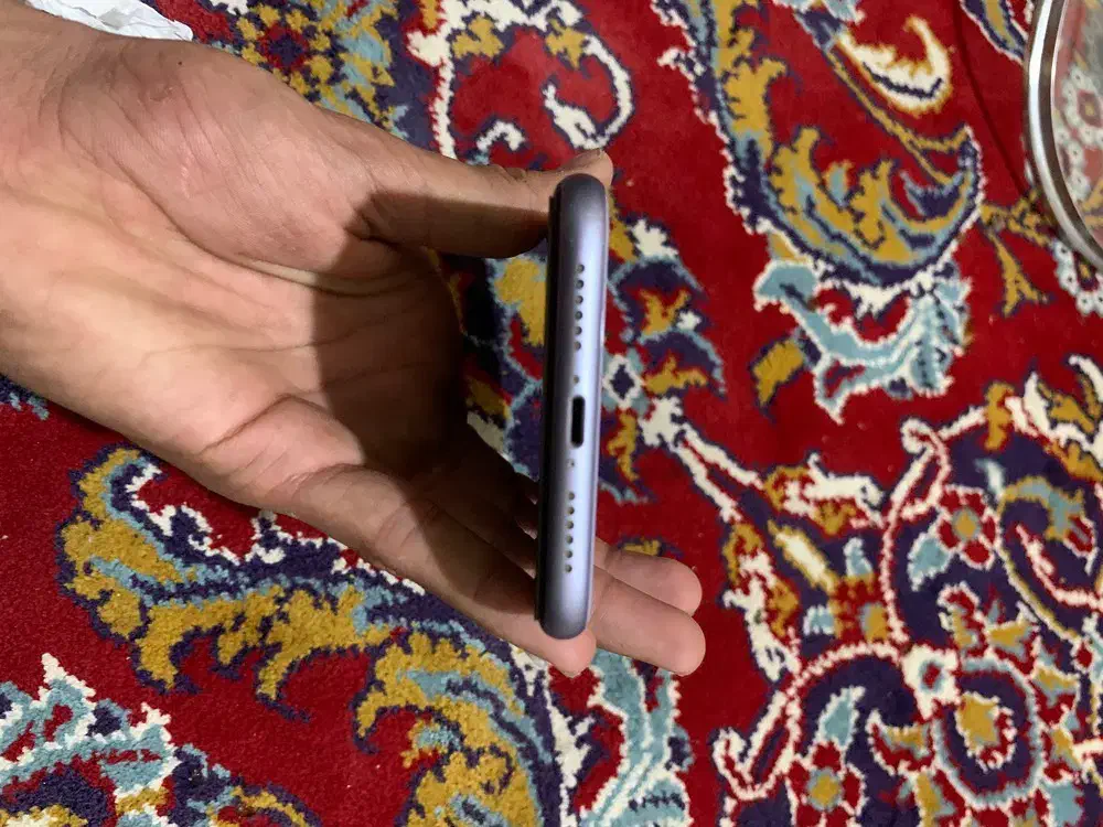 ایفون ۱۱نرمال|موبایل|تربت‌حیدریه, باغ ملی|دیوار