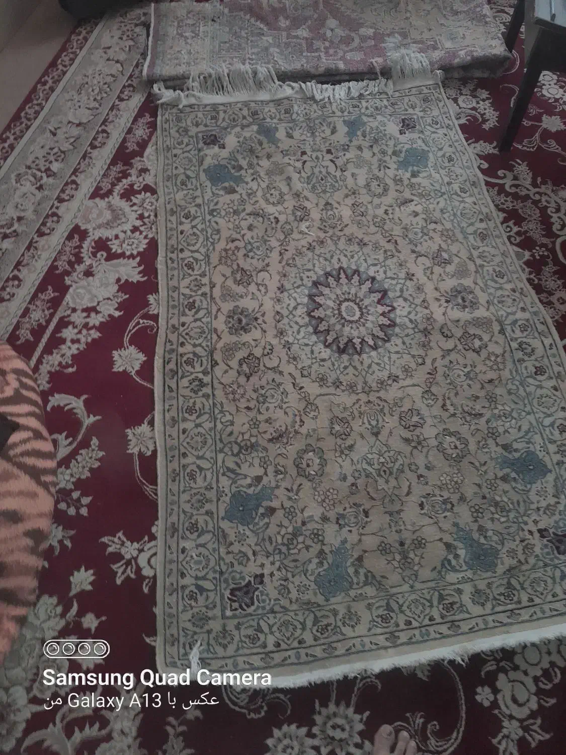 قالی محلی|فرش|شیراز, لاله|دیوار