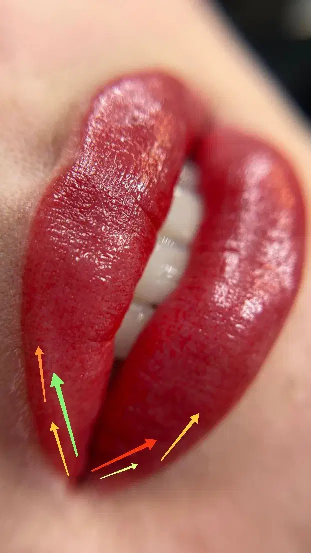 شیدلب کاملا رایگان|خدمات آرایشگری و زیبایی|تهران, شهرک خرازی|دیوار