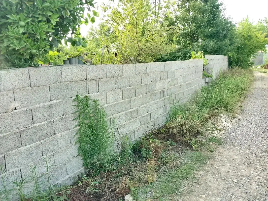 فروش زمین در رشت سیاه اسطلخ|فروش زمین و ملک کلنگی|رشت, سیا اسطلخ|دیوار