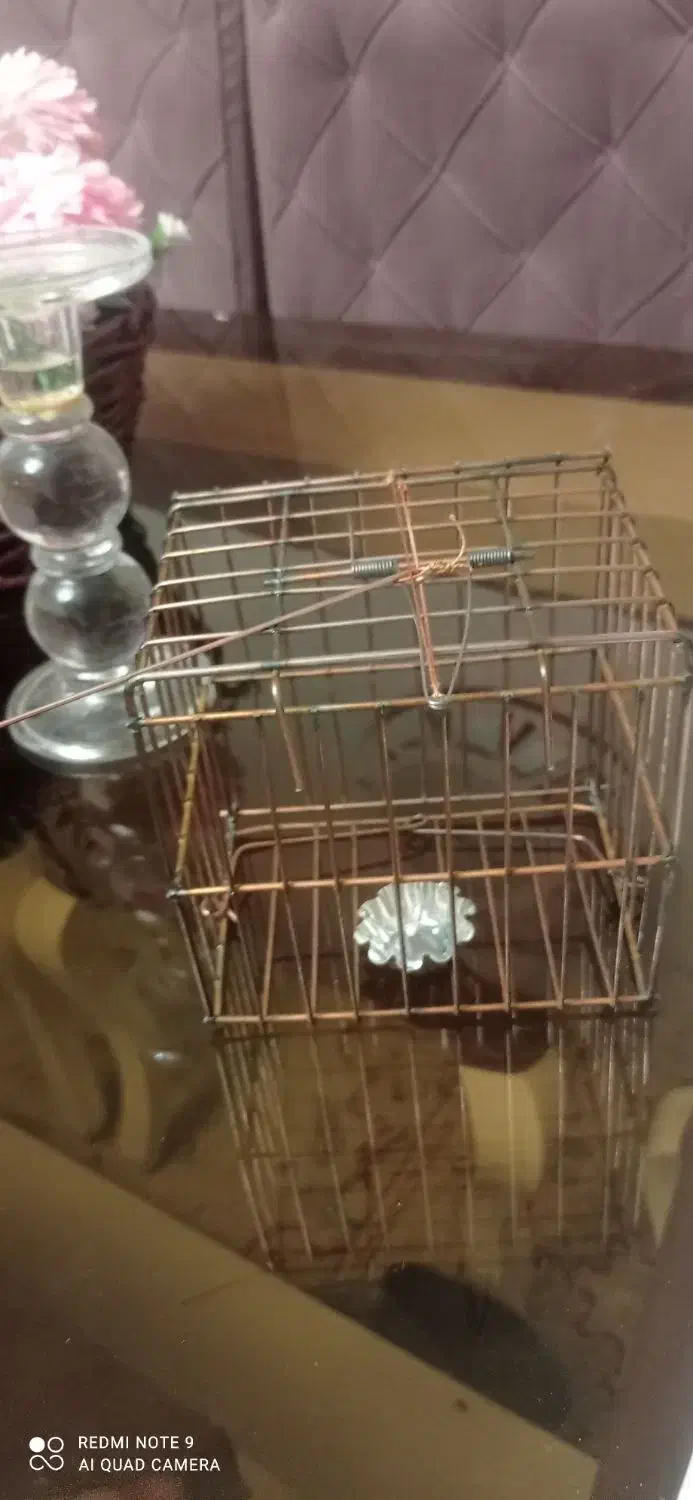 تله سهره|پرنده|فولادشهر, B1|دیوار