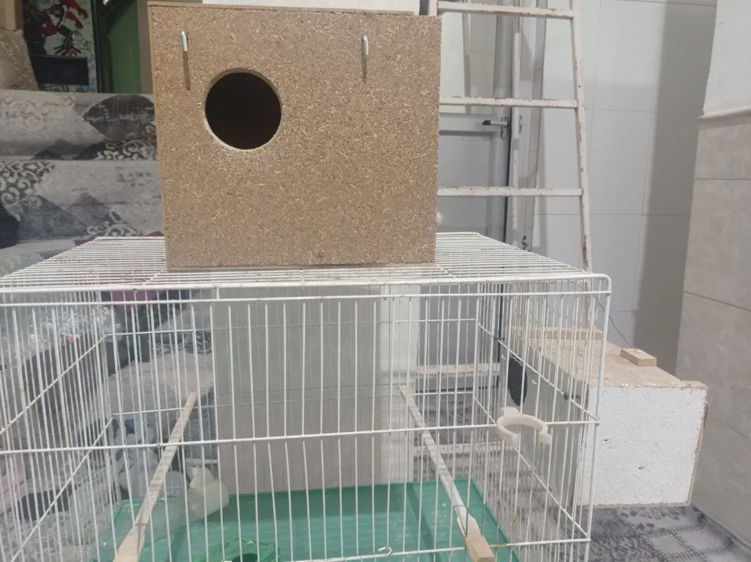 قفس با لونه کوتوله|لوازم جانبی حیوانات|اردکان, |دیوار