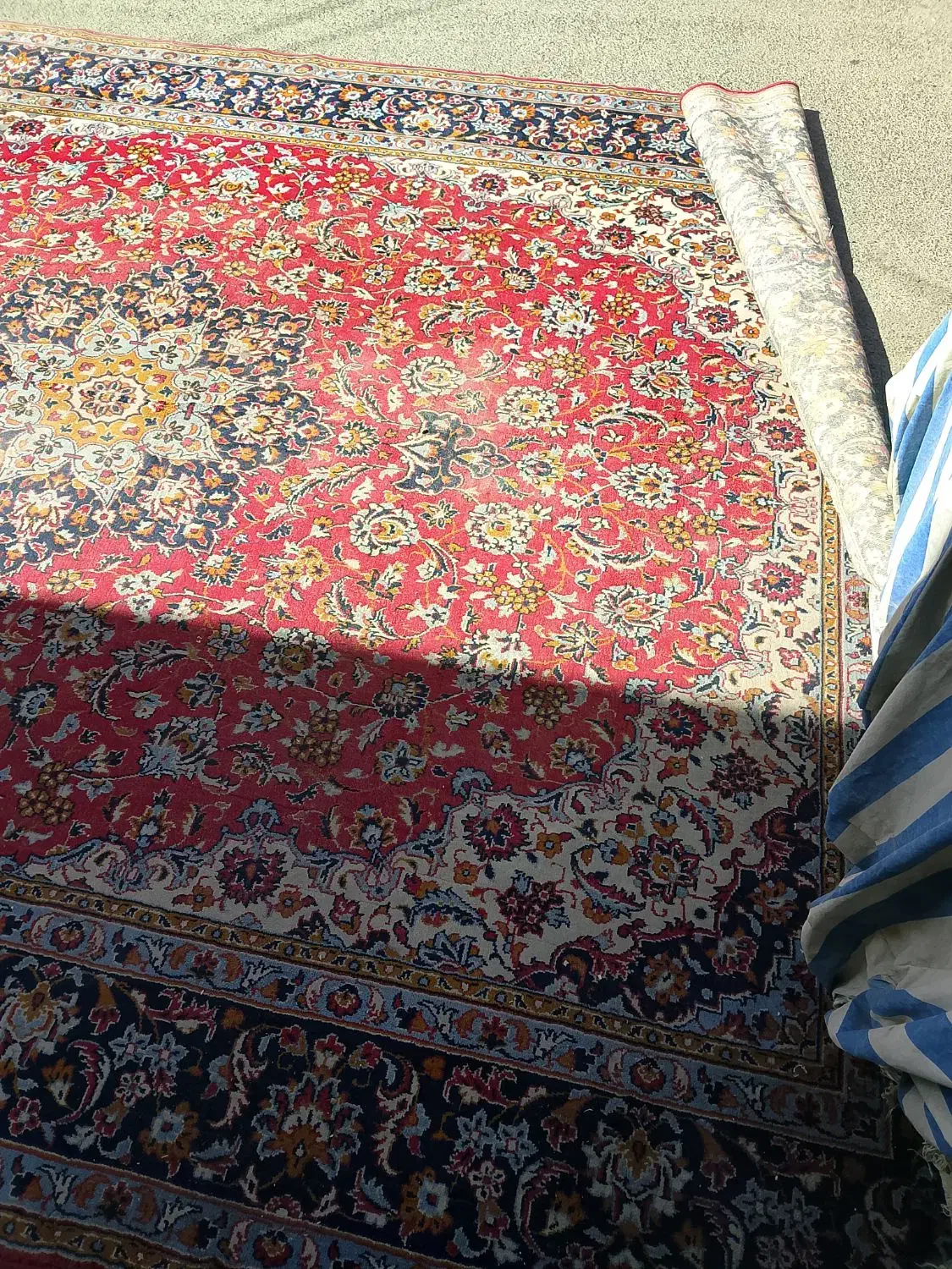 فرش۱۲متری|فرش|قم, شهر قائم|دیوار