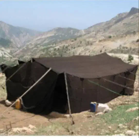 بهون محلی|کوهنوردی و کمپینگ|دهدشت, |دیوار