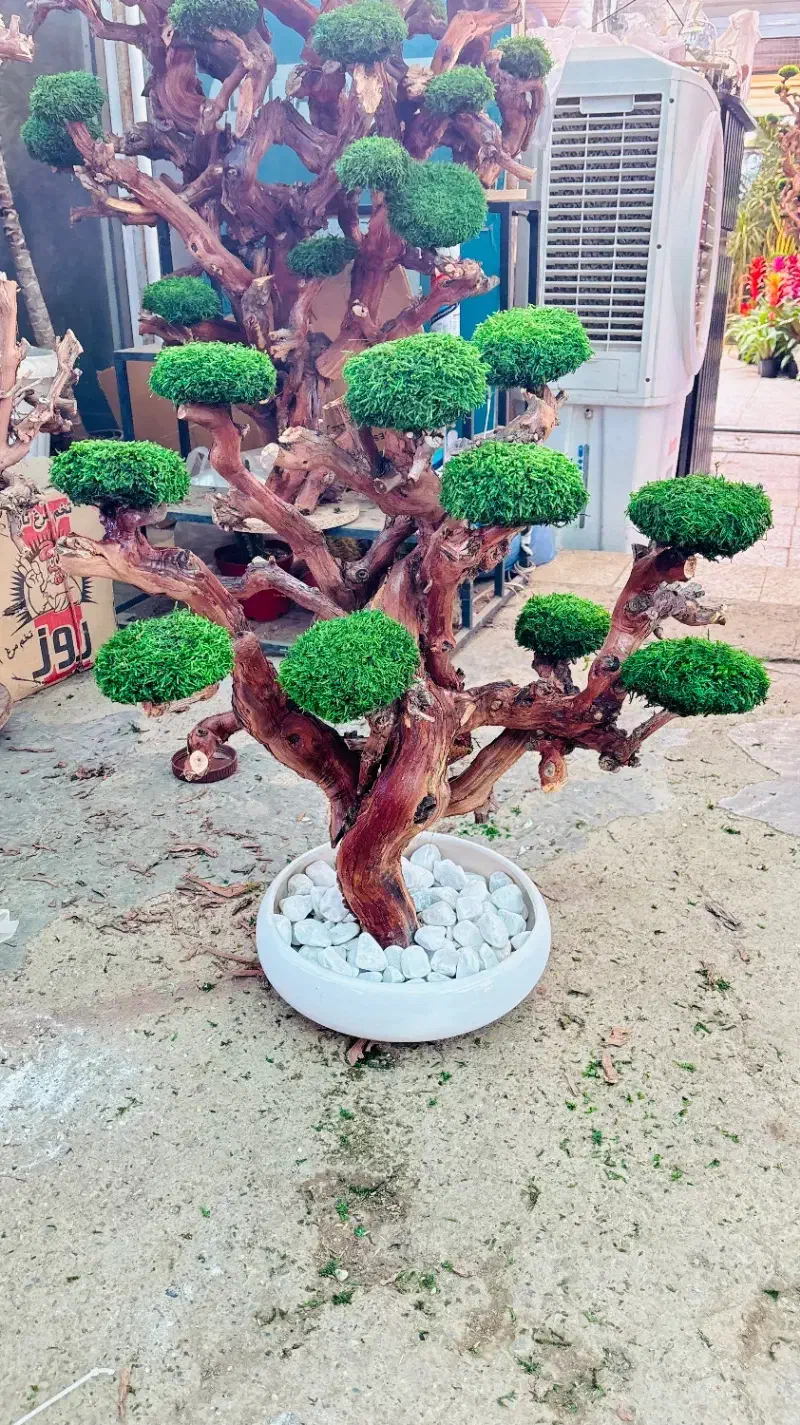 دکوری مینیاتوری|گل مصنوعی|تهران, آهنگ|دیوار