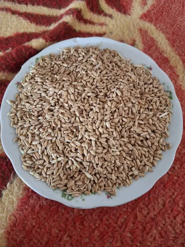 گندم|عمده‌فروشی|ایزدخواست, |دیوار