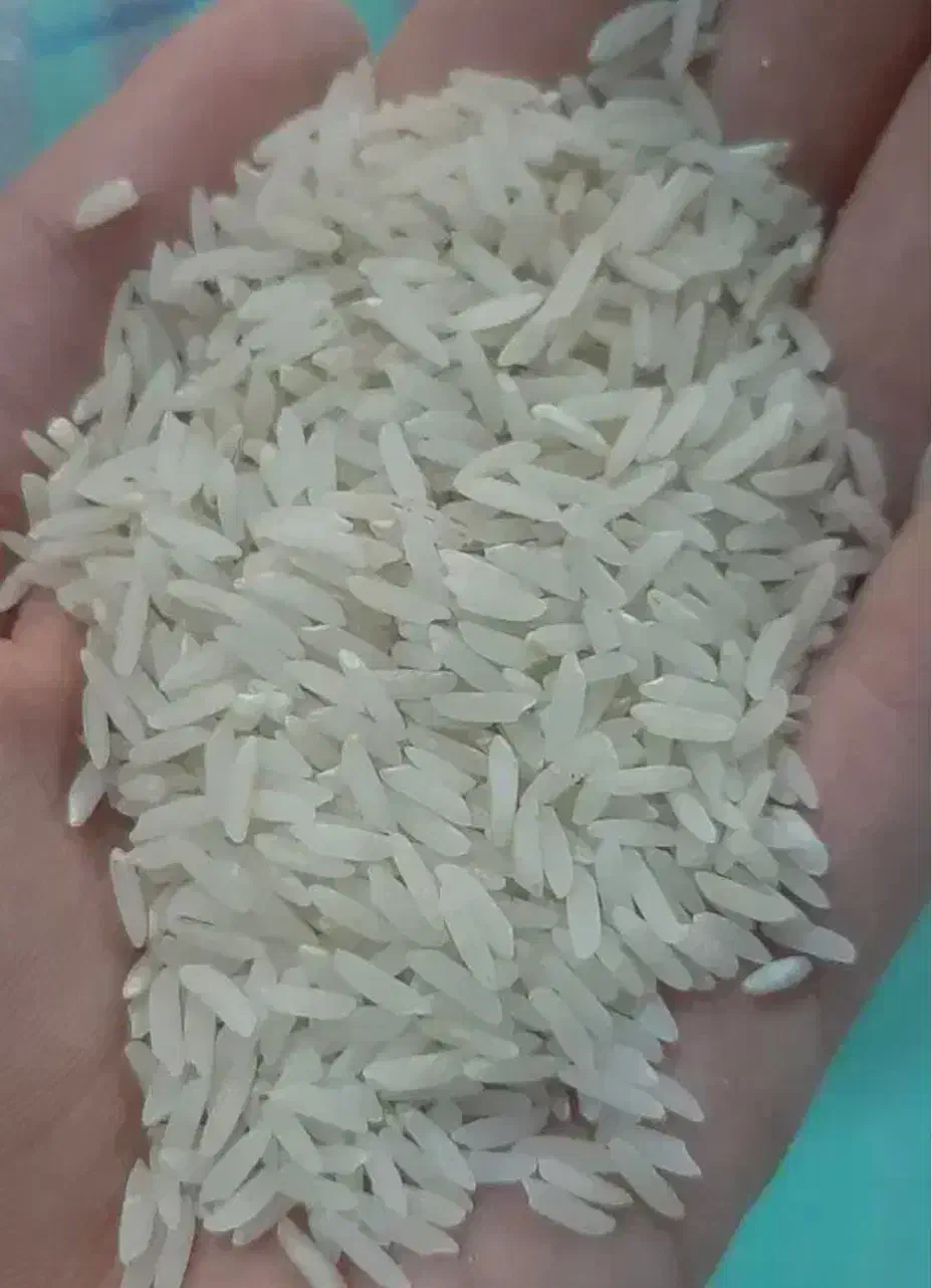 برنج عالی|خوردنی و آشامیدنی|بابل, |دیوار