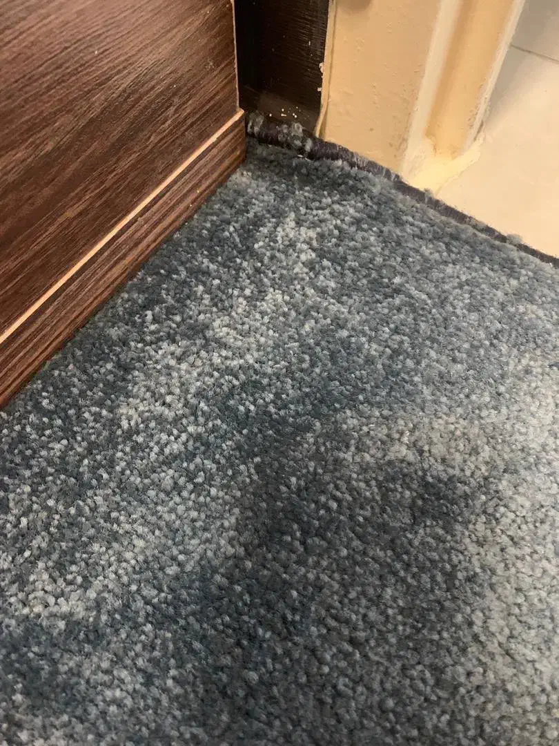 موکت ۹ متری پرز بلند|موکت|بابل, |دیوار