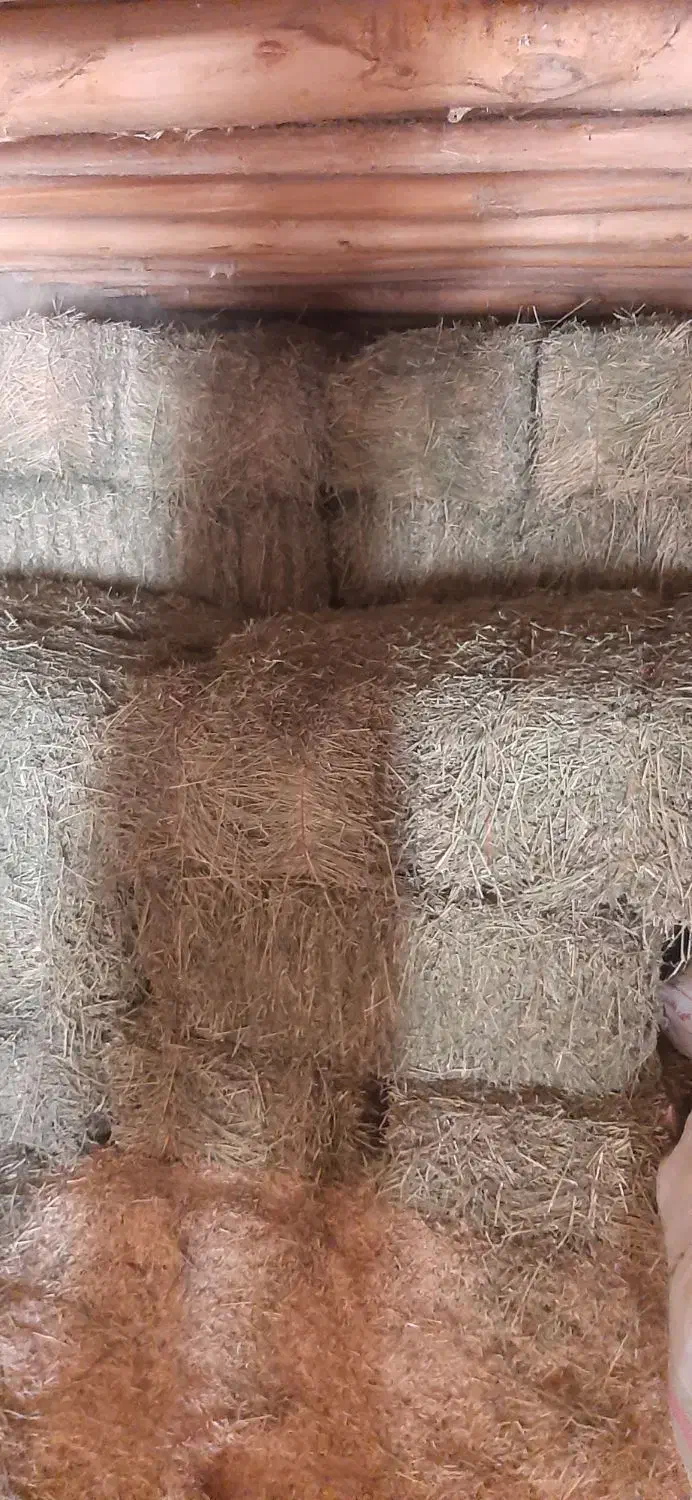 ۳۵ خلوار یونجه پرس چین ۳|لوازم جانبی حیوانات|فرمهین, |دیوار