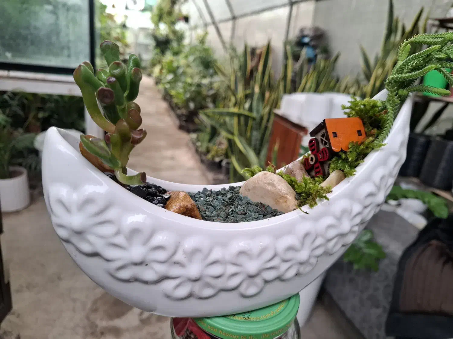 گل ،دیش گاردن|گل و گیاه طبیعی|نیشابور, شهرک ولیعصر|دیوار