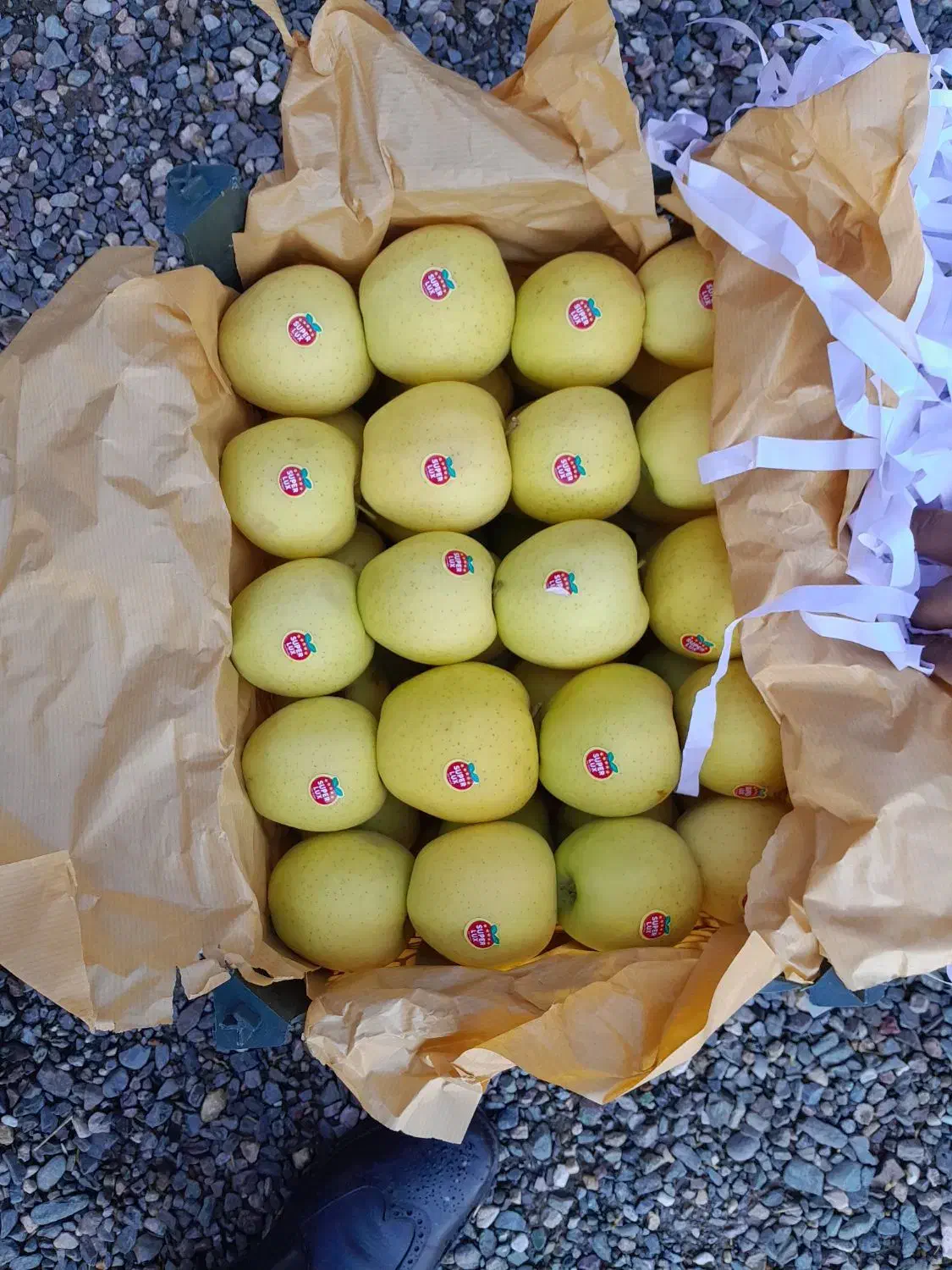 سیب سفید درجه یک|خوردنی و آشامیدنی|سیلوانه, |دیوار