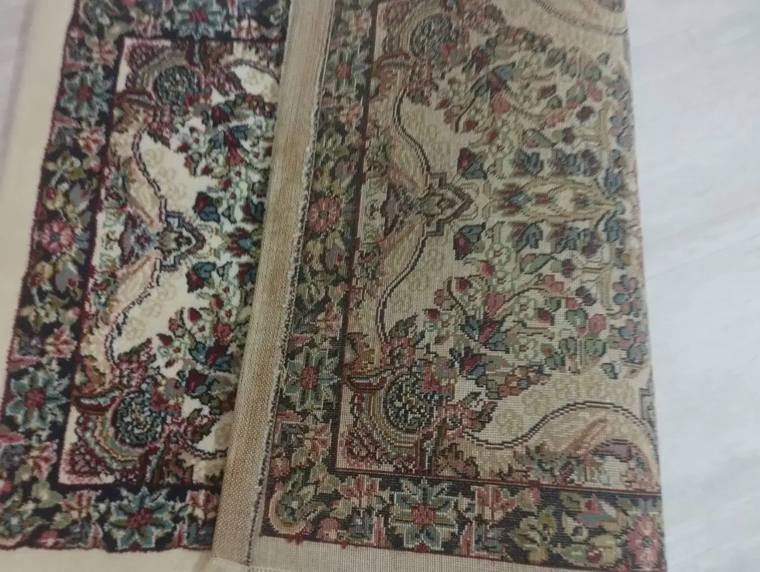 پادری فرش|پادری|مشهد, الهیه|دیوار