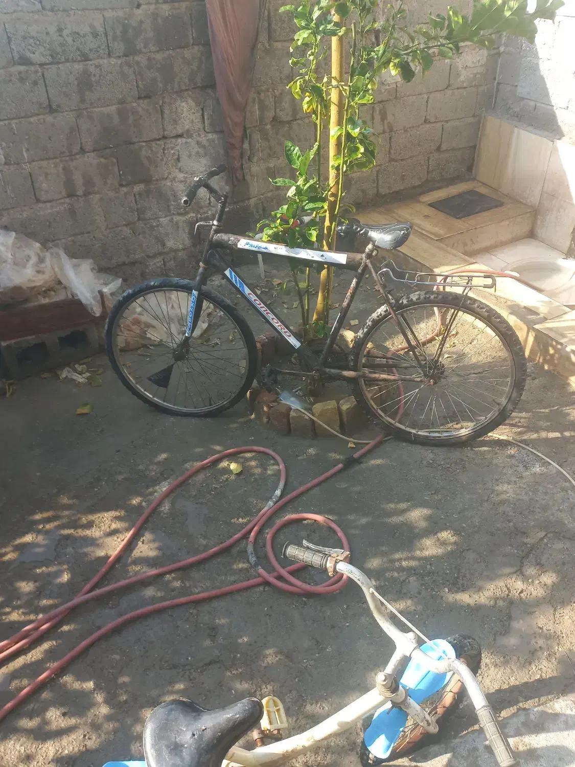 دوچرخه|دوچرخه، اسکیت، اسکوتر|میناب, |دیوار