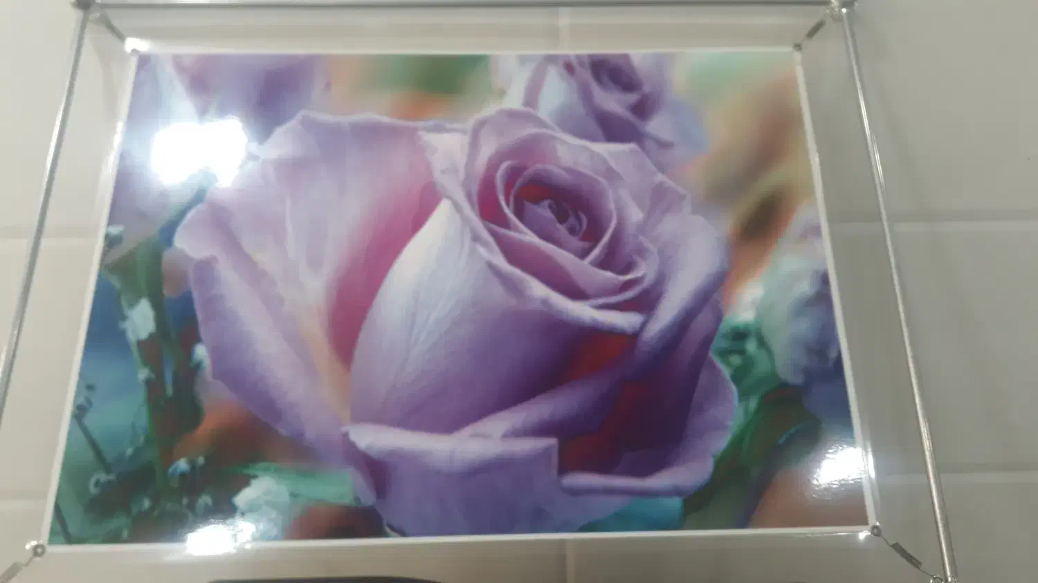 قاب فنری به همراه تصویر گل|تابلو، نقاشی، عکس|شهرکرد, |دیوار