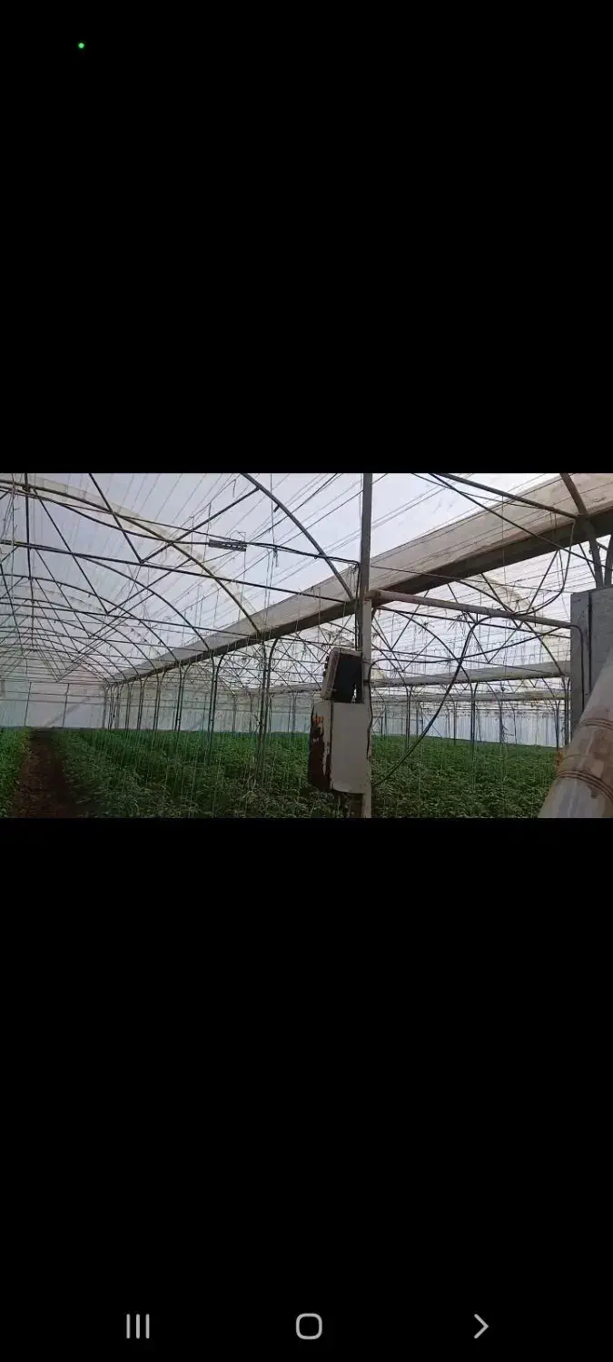 گلخانه|فروش دفتر صنعتی، کشاورزی، تجاری|قم, هنرستان|دیوار