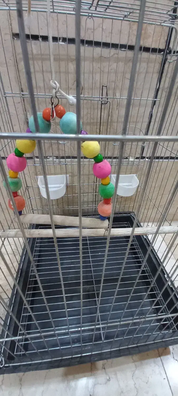 قفس پرنده استیل|لوازم جانبی حیوانات|تهران, امام زاده عبدالله|دیوار